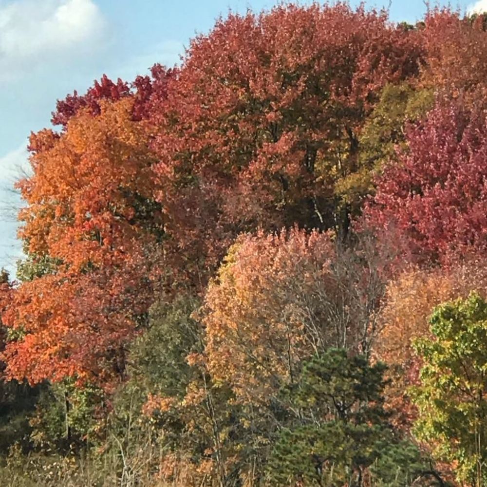 Meet your Posher, Pat