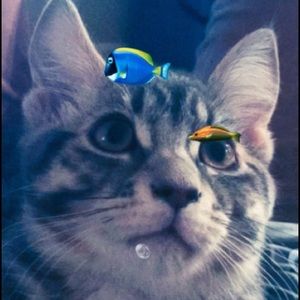 Meet your Posher, Xavier