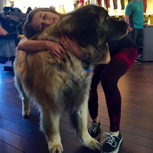 Meet your Posher, Madison