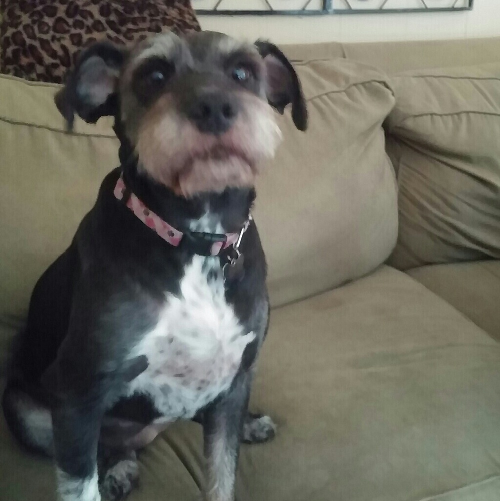 Meet your Posher, Nicole