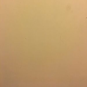 Meet your Posher, Tianna