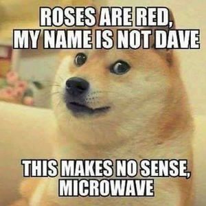 Meet your Posher, Irene