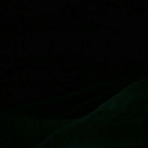 Meet your Posher, Cierra