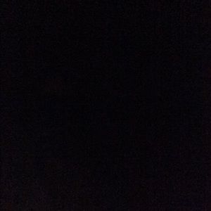 Meet your Posher, Cassius