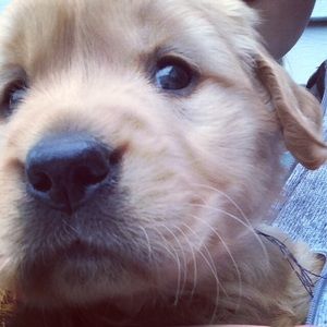 Meet your Posher, Rayna