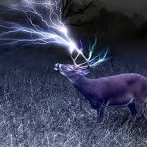 Meet your Posher, Hunter tyler