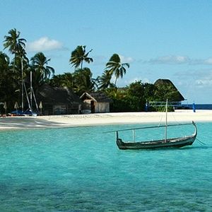 Meet your Posher, Nanette