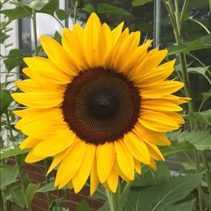 Meet your Posher, Wendy