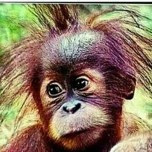 Meet your Posher, Avonna