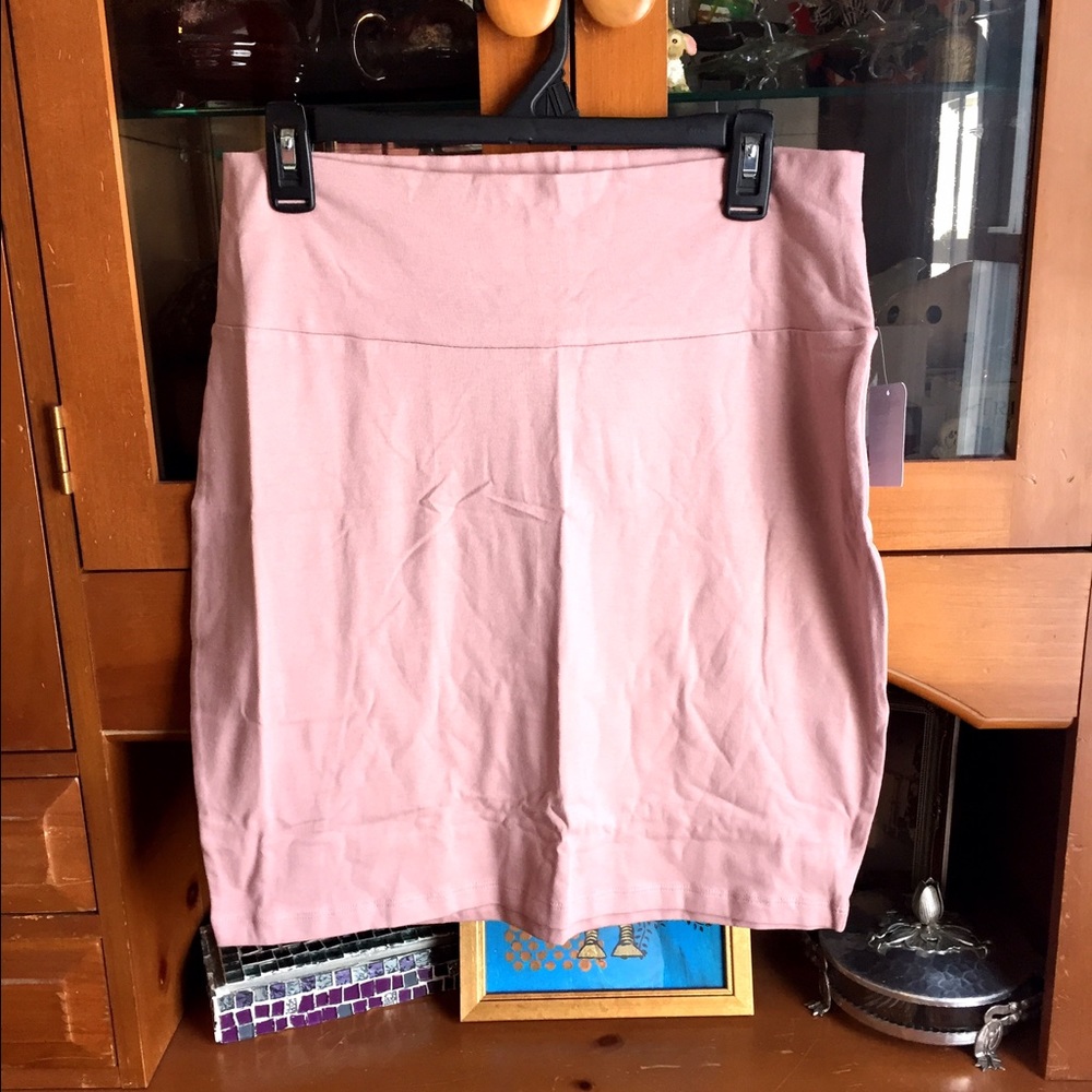 Blush Bodycon Mini Skirt, 2X Charlotte Russe
