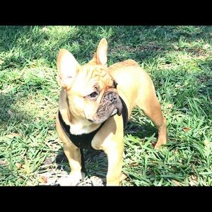 Meet your Posher, Kim