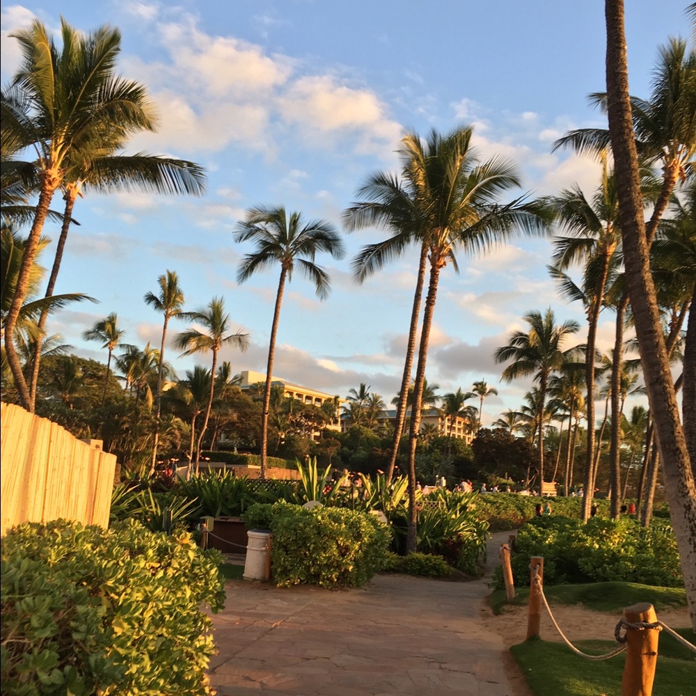 Meet your Posher, Allison