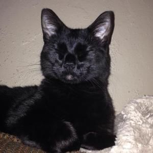 Meet your Posher, Gina