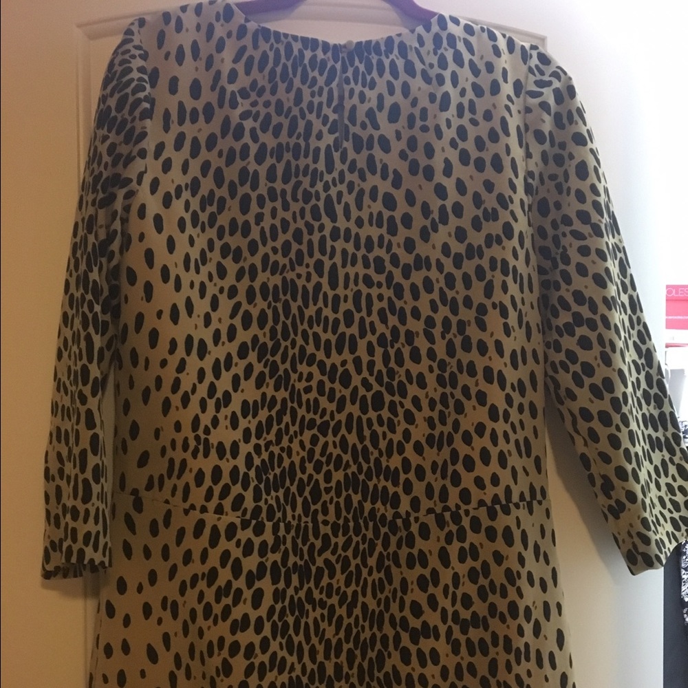 J Crew Dress