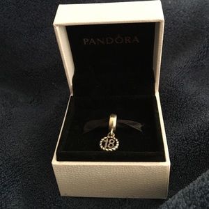 18 Pandora Charm