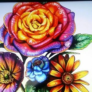 Meet your Posher, Marjorie