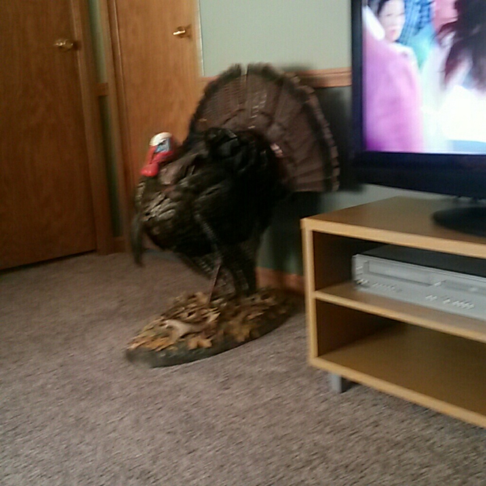 Meet your Posher, Angel