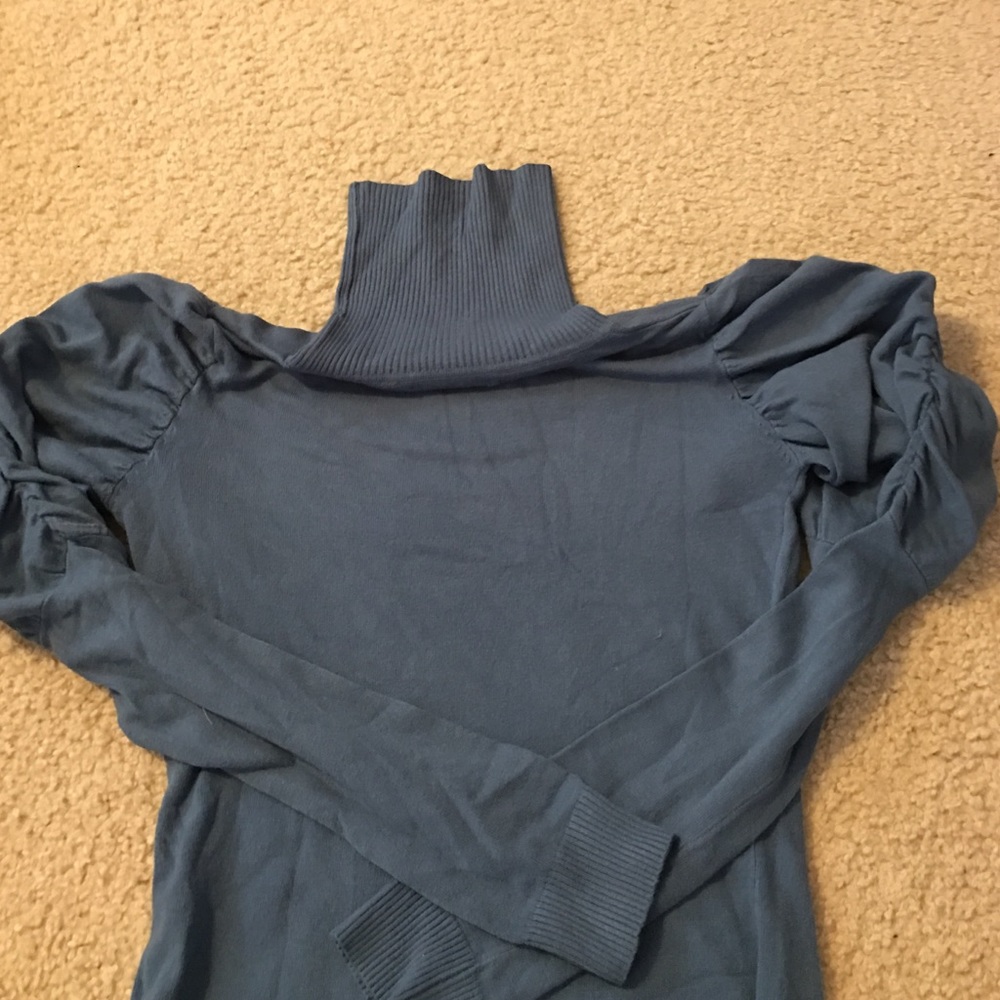 Beautiful elegant teal turtleneck