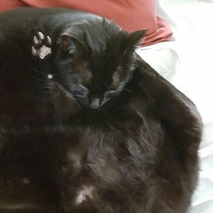 Meet your Posher, Lisa