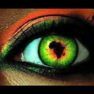 Meet your Posher, Fatima