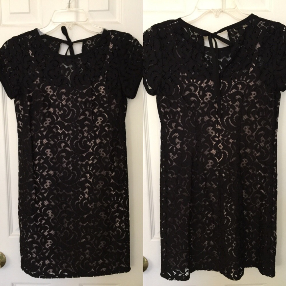 LOFT Lace Dress