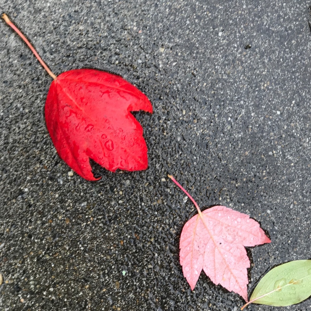 Meet your Posher, Swaroopa