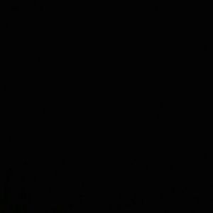 Meet your Posher, Carmen