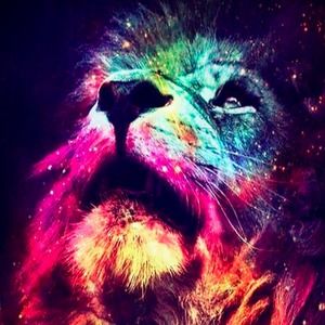 Meet your Posher, Anna_