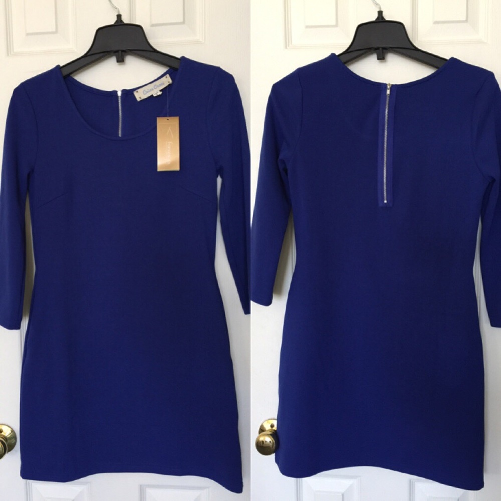 NWT Blue Shift Dress