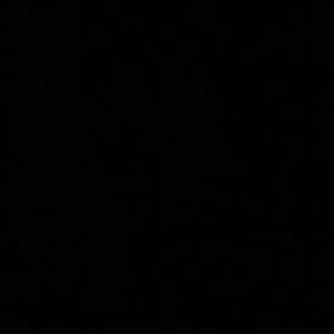 Meet your Posher, Kaylee