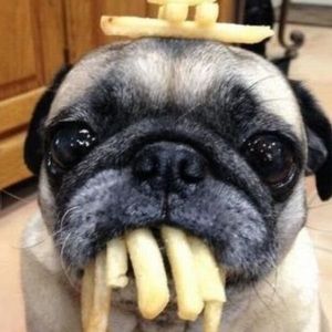 Meet your Posher, Justine