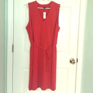 Ann Taylor XXL dress w/ pretty tie belt. NWT.
