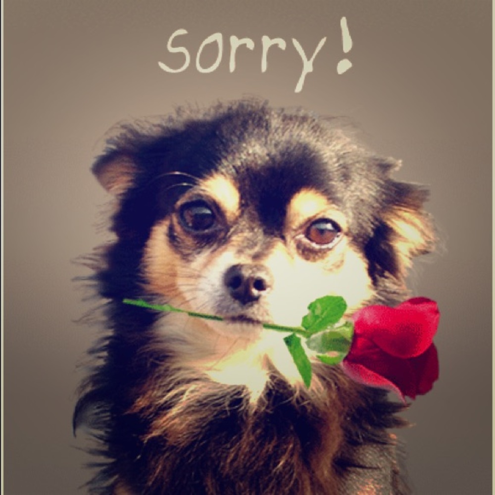 Sorry