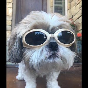 Meet your Posher, Ailsa