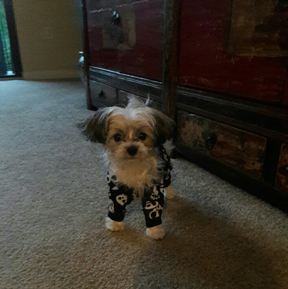 Meet your Posher, Staci