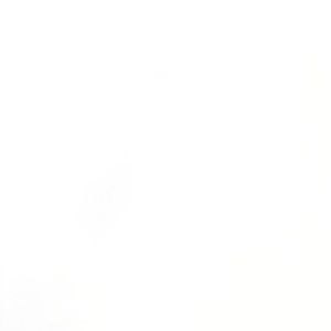 Meet your Posher, Young