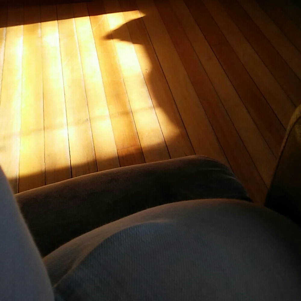 Meet your Posher, Vanessa