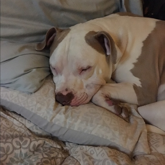 Meet your Posher, Nikki - Picture 1 of 1