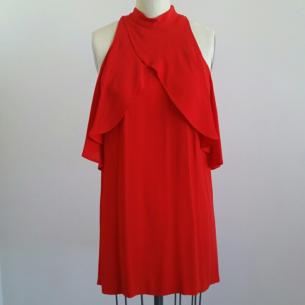 Zara - Red "Valentine's Day" Dress