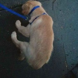 Meet your Posher, Vanessa