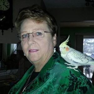 Meet your Posher, Diane