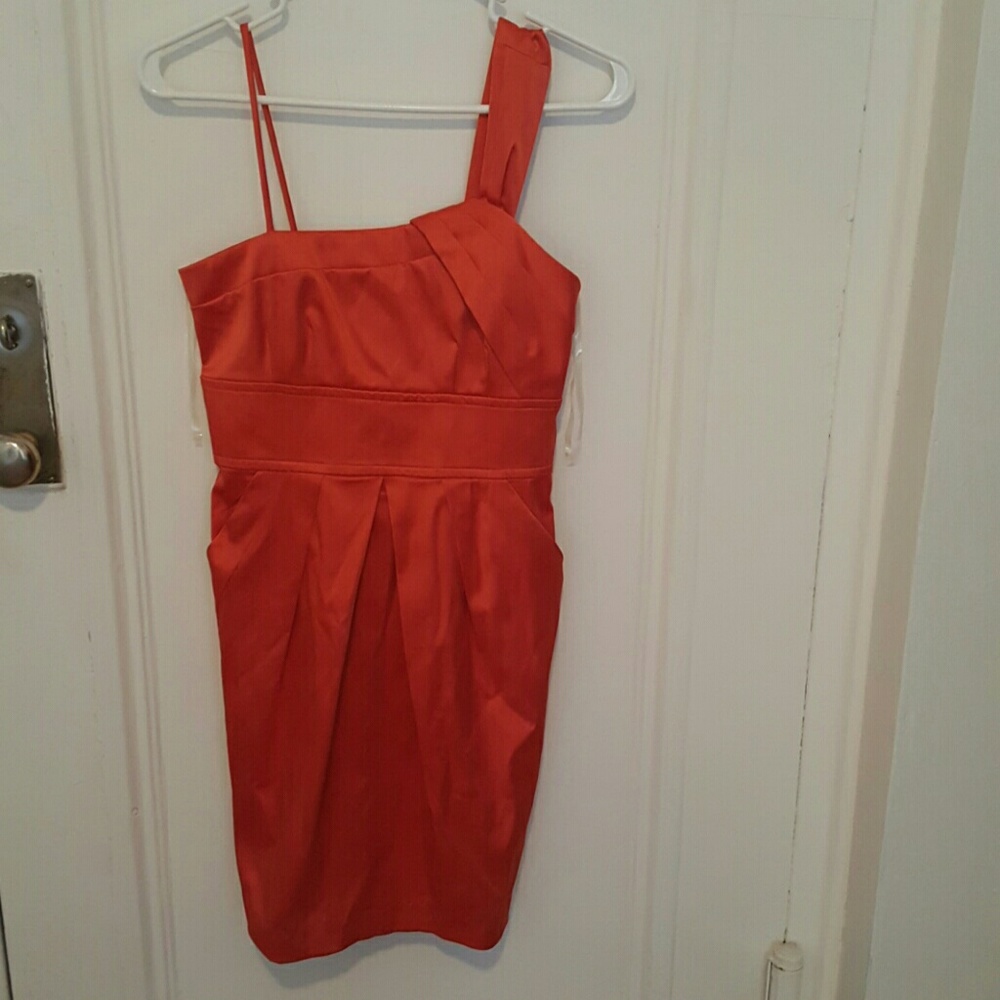 Teeze Me Dress!