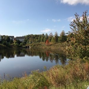 Meet your Posher, Violet