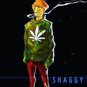 Meet your Posher, Ray