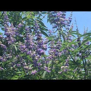 Meet your Posher, Teresa