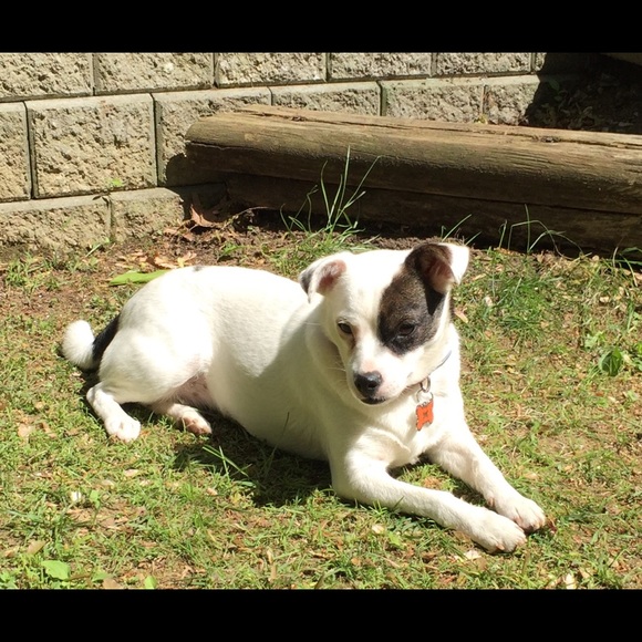 Meet your Posher, Janelle - Picture 1 of 1