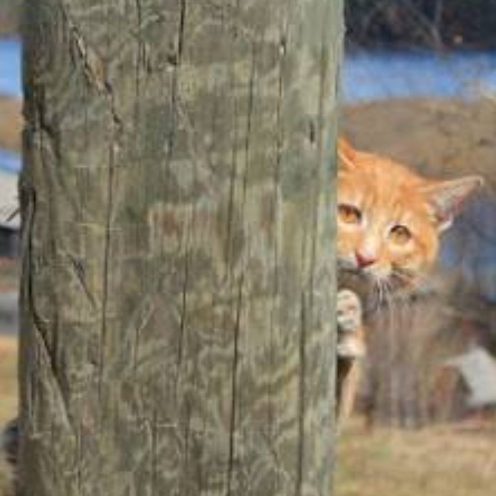 Meet your Posher, Patricia