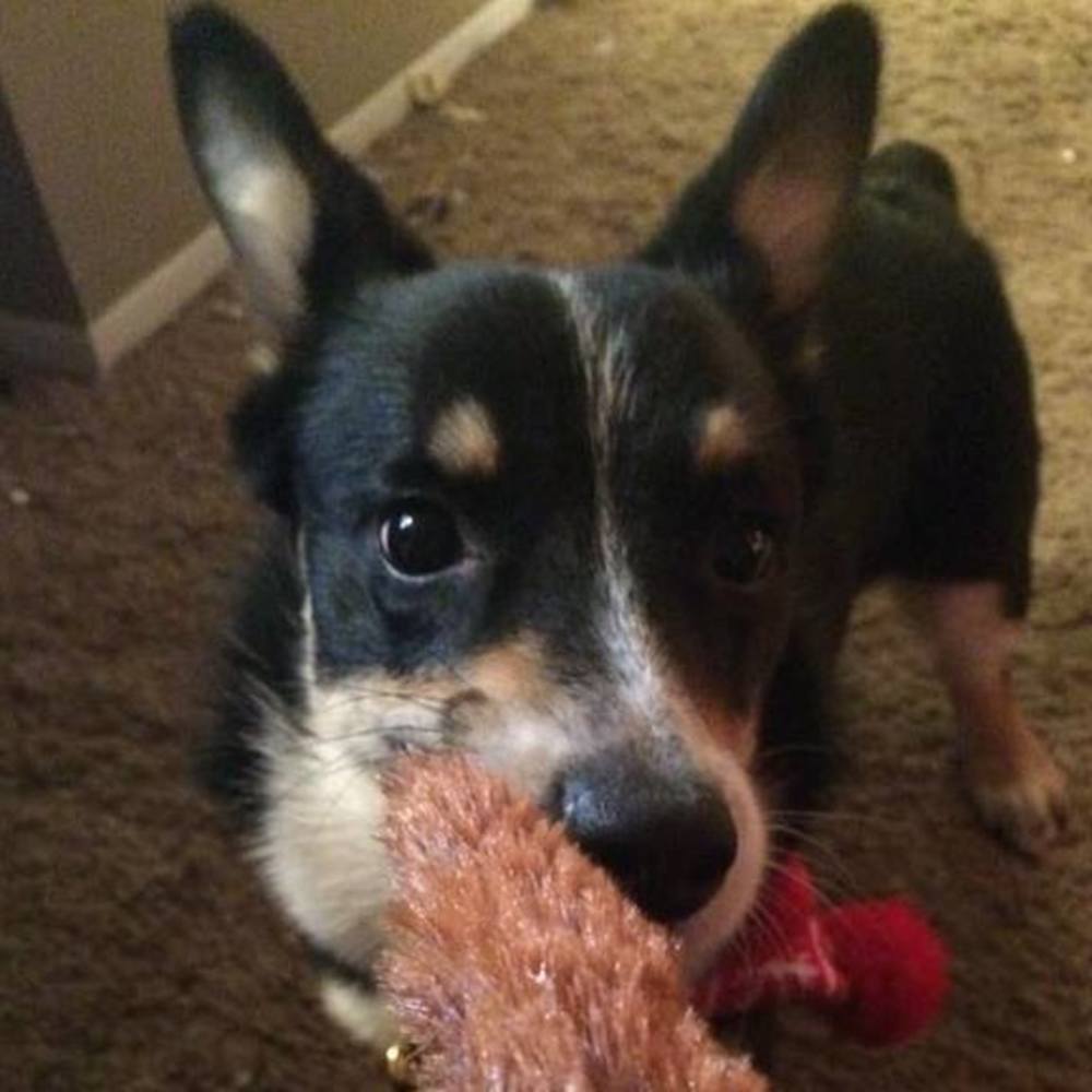 Meet your Posher, Emily