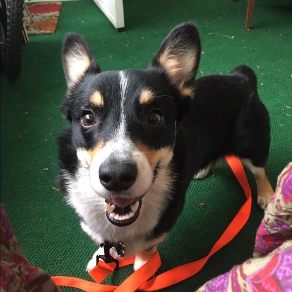 Meet your Posher, Emily - Picture 2 of 3