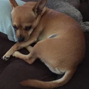 Meet your Posher, Tamara